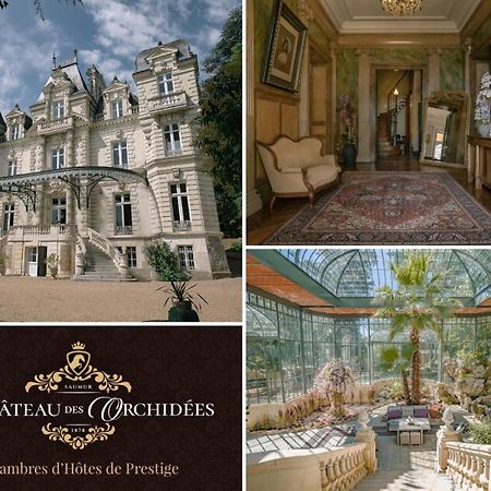 Chateau Des Orchidees En Val De Loire Сомюр Екстериор снимка