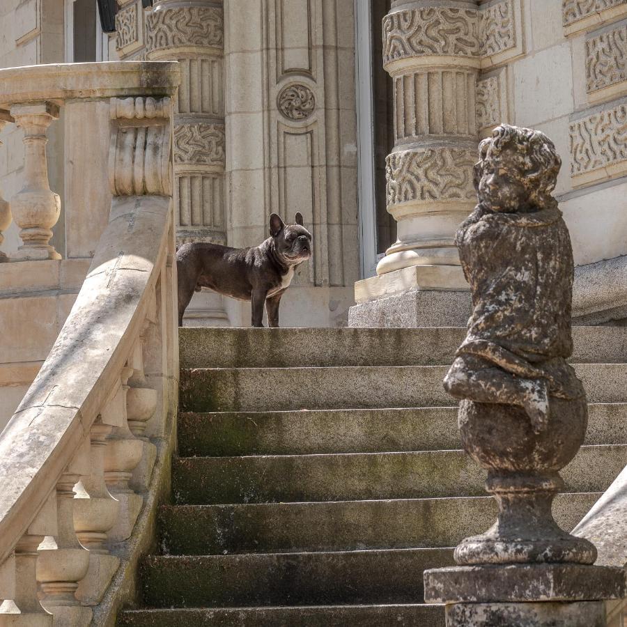 Chateau Des Orchidees En Val De Loire Сомюр Екстериор снимка