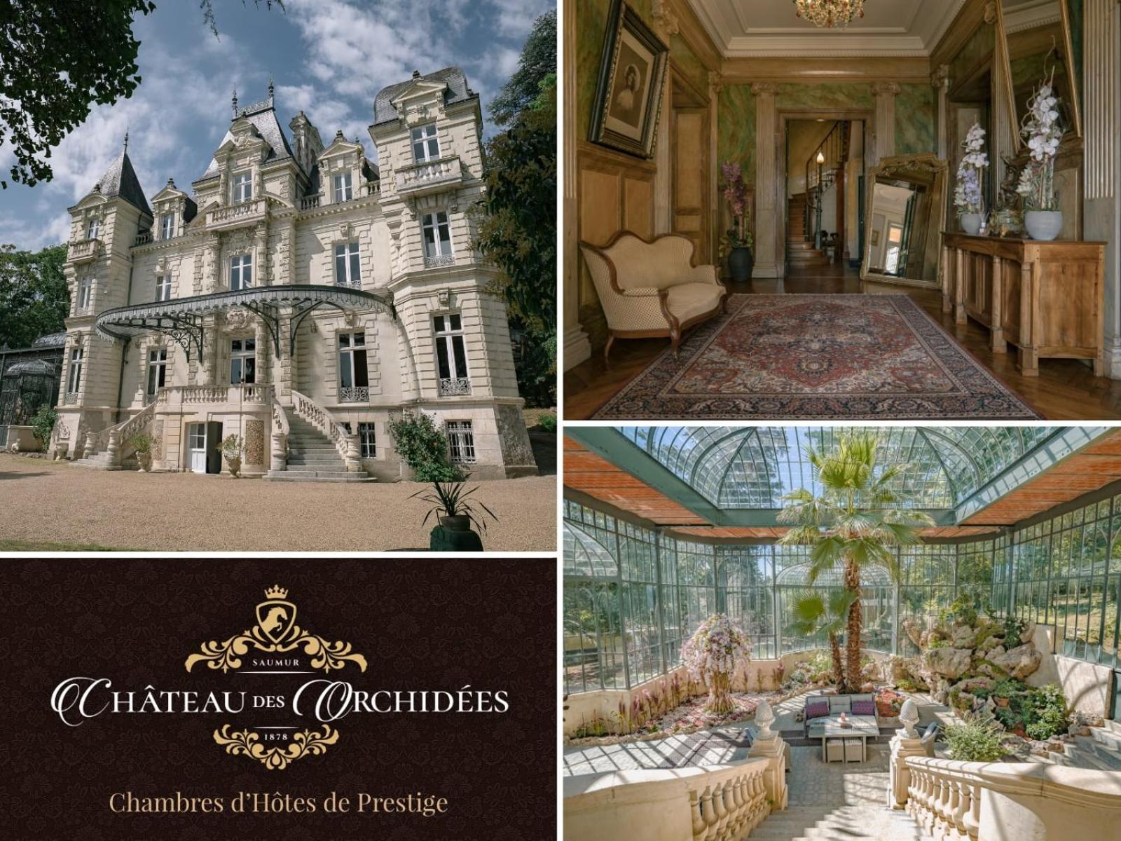 Chateau Des Orchidees En Val De Loire Сомюр Екстериор снимка