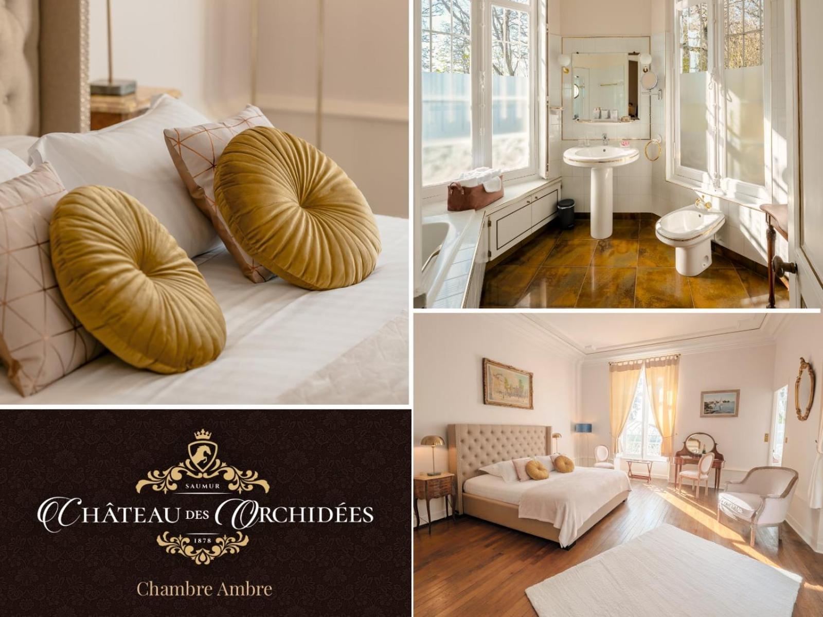 Chateau Des Orchidees En Val De Loire Сомюр Екстериор снимка